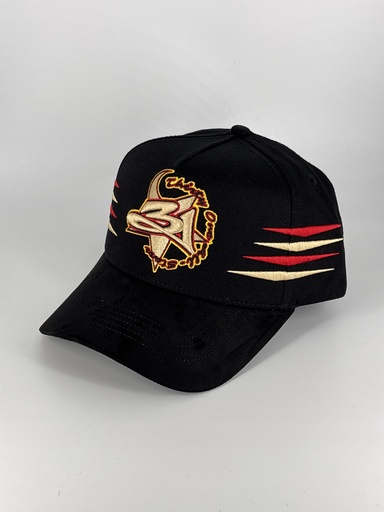31 HATS - 31 STARS