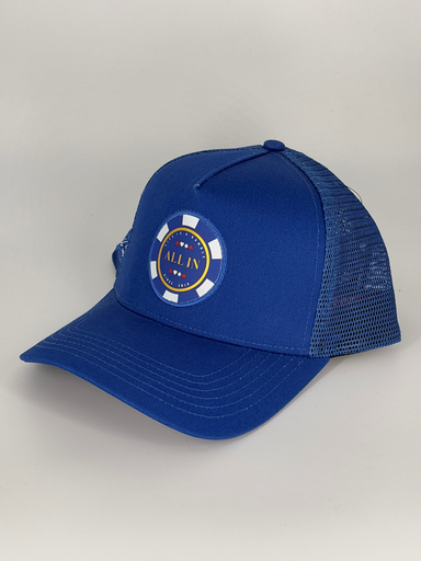 ALL IN MONEDA - MONEDA AZUL CURVA 
